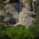 20130722_162850_Collias Corinna