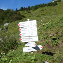 20230904_091008_01-Allgaeu-Heike