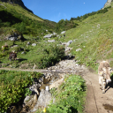 20230904_091056_Allgaeu-Heike