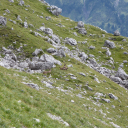 20230903_124840_Allgaeu-Heike