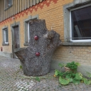 20150905_124616_Bodensee-Königssee-Radweg Heike