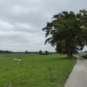 20150910_133946_Bodensee-Königssee-Radweg Thomas