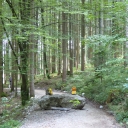 20150909_095308_Bodensee-Königssee-Radweg Thomas
