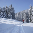 20100213_124956_Schneeschuhwanderung_Chiemgau_T