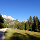 20220910_084940_Civetta_Heike