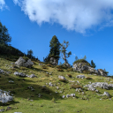 20260901_100833_Dachstein_Handy-Thomas
