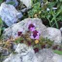 20200908_163805_01_Karwendel-Fabienne