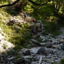1_20200905_150228_Karwendel-Heike