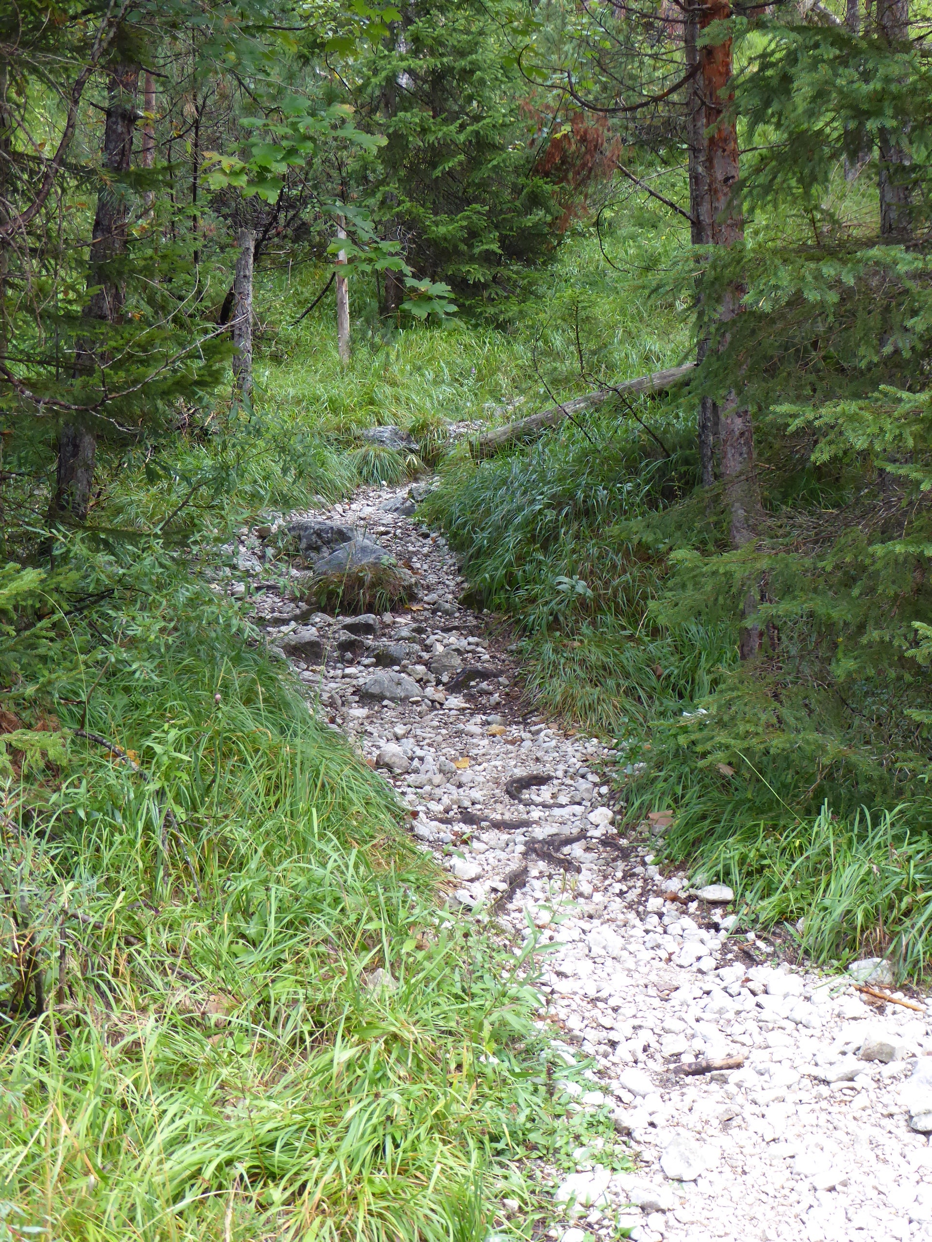 1_20200906_104632_Karwendel-Heike