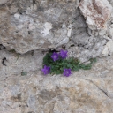 20160907_125824_Pala Heike