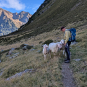 20250904_094215_Huettentour_Sellrain_Handy-Heike