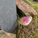 20250905_093154_Huettentour_Sellrain_Handy-Thomas