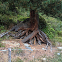 20250905_112526_Huettentour_Sellrain_Handy-Heike