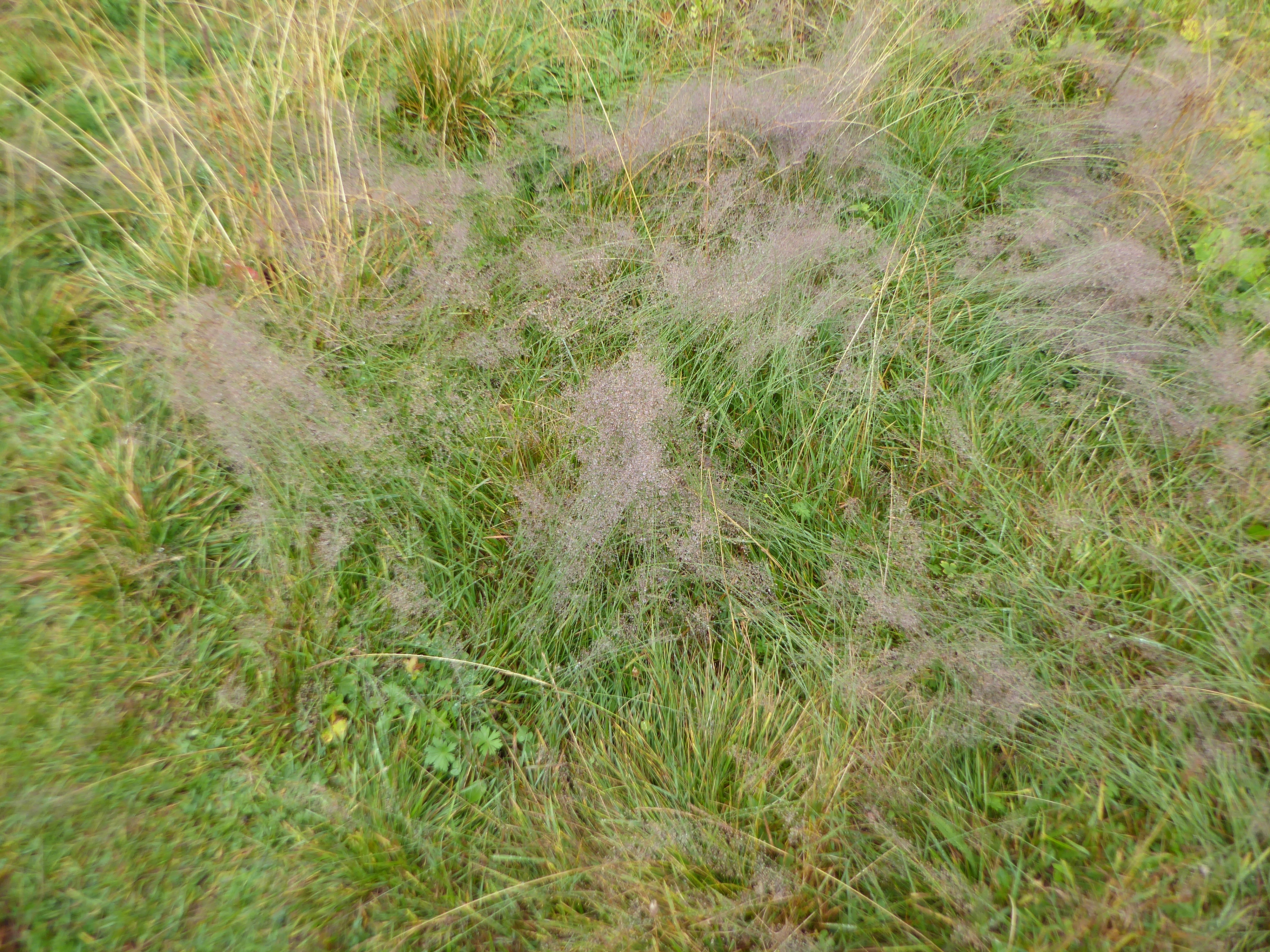 20250830_131546_Huettentour_Sellrain_Heike_F