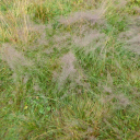 20250830_131546_Huettentour_Sellrain_Heike_F