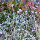 20250831_082758_Huettentour_Sellrain_Heike_F