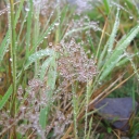 20060908_093000_Hüttentour_2006