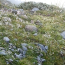 20190903_085440_Stubaier-Höhenweg-Thomas