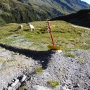 20190904_090924_Stubaier-Höhenweg-Heike