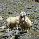 20190904_112448_Stubaier-Höhenweg-Thomas
