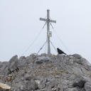 20240729_103839_Watzmannueberschreitung