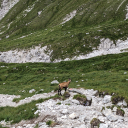20240729_123044_Watzmannueberschreitung