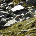 20170907_085212_Wiener Höhenweg Thomas