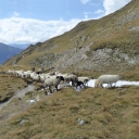 20170907_150744_Wiener Höhenweg Thomas