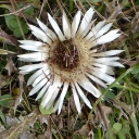 20170908_133258_Wiener Höhenweg Heike