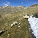20170906_091100_Wiener Höhenweg Erik