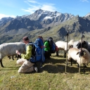 20170906_092530_Wiener Höhenweg Heike