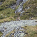 20170906_144422_Wiener Höhenweg Heike