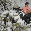 20110913_121203_Wilder_Kaiser_A